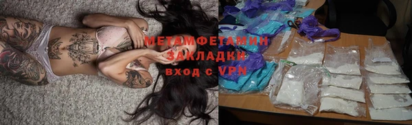 сатива Новокубанск