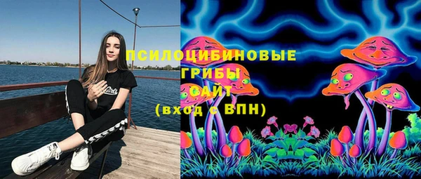 крисы Новозыбков